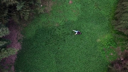 《我们》宣传片