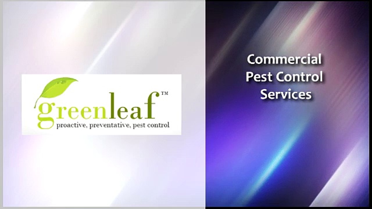 Avail Bird Removal Services - Greenleafpestcontrol.com