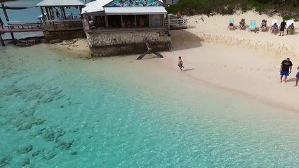 Un enfant dans l'eau attire quelques requins curieux au Bahamas