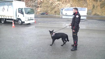 Alfi" Kaçakçıların Korkulu Rüyası Olacak