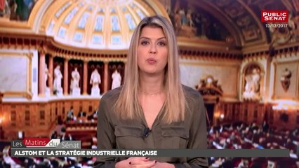 Alstom et stratégie industrielle du pays : audition comme avec les organisations syndicales représen - Les matins du Sénat (28/12/2017)