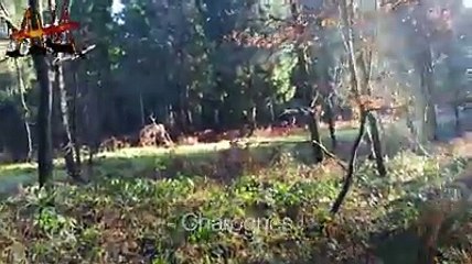 Une chasse à courre interrompue par des militants de façon très insolite !!