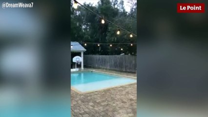 De la neige en Floride pour la première fois depuis 30 ans