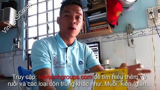 Medicine kill flies (fly) Agati 1GB-10Wg nhập khẩu - diệt ruồi hiệu quả nhất hiện nay