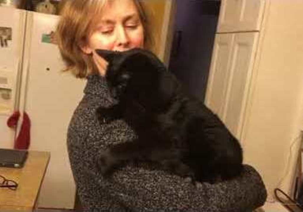 Cat Goes Crazy When Owner Scratches Particular Part of Her Back