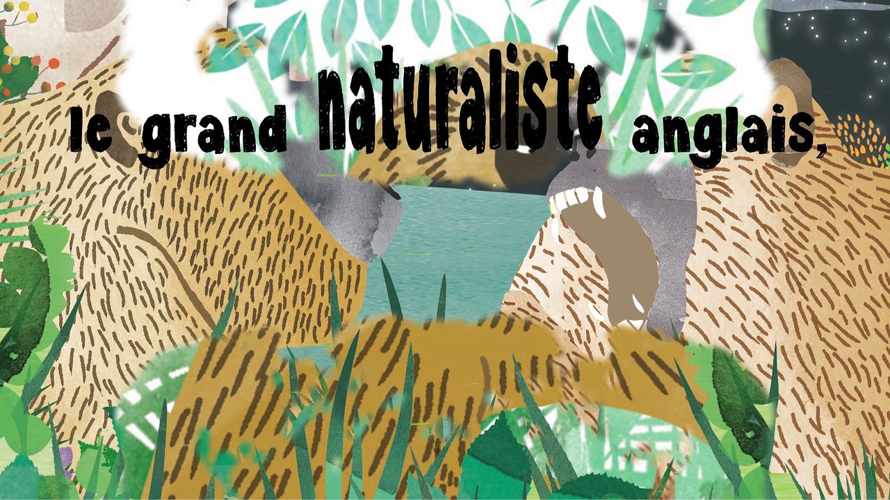 À l'école des animaux