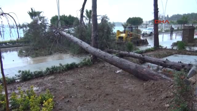 Adana-Polisin Dikkati, Faciayı Önledi