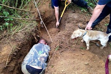 BBC Radio Humberside - Andy Comfort 3Jan18 - badger persecution