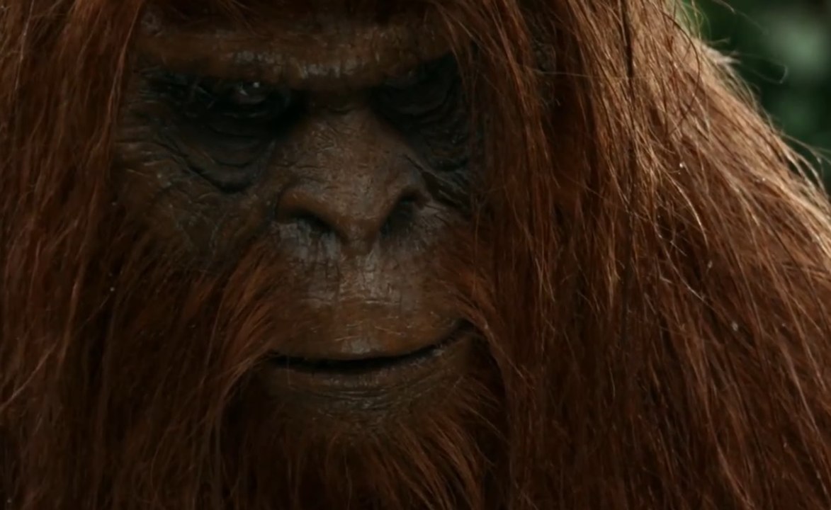 JOURNEY TO THE FORBIDDEN VALLEY Movie Trailer - Previewbox