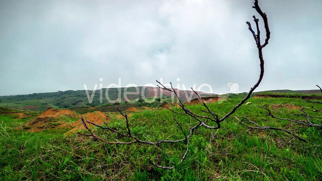 Cloud Disperse Fog In The Mountains On a Background Of Branches, Kazakhstan - by Timelapse4K