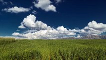 Clouds Over the Green Field of Wheat in Kazakhstan by Timelapse4K - Hive