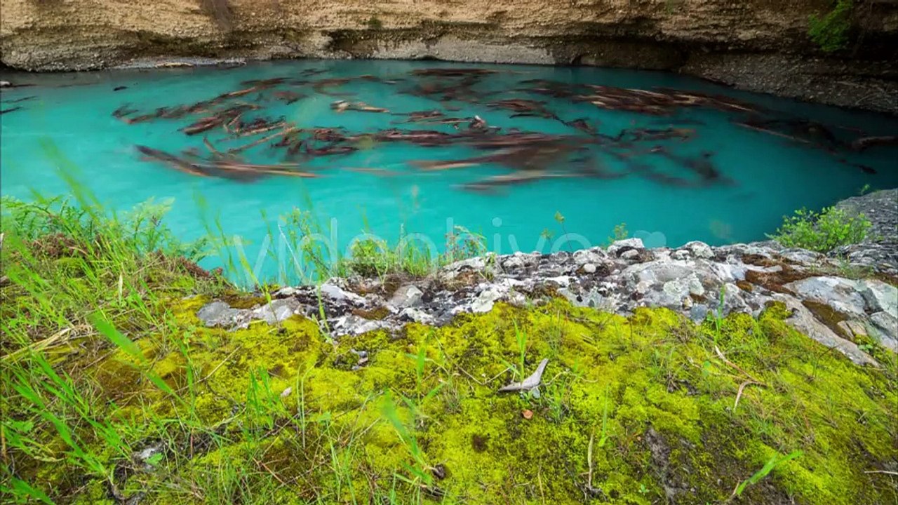Logs Trees In The Blue Lake Canyon Aksu, Kazakhstan - by Timelapse4K