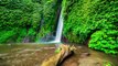 Old Tree In The Water Near Munduk Waterfall in Bali, Indonesia by Timelapse4K