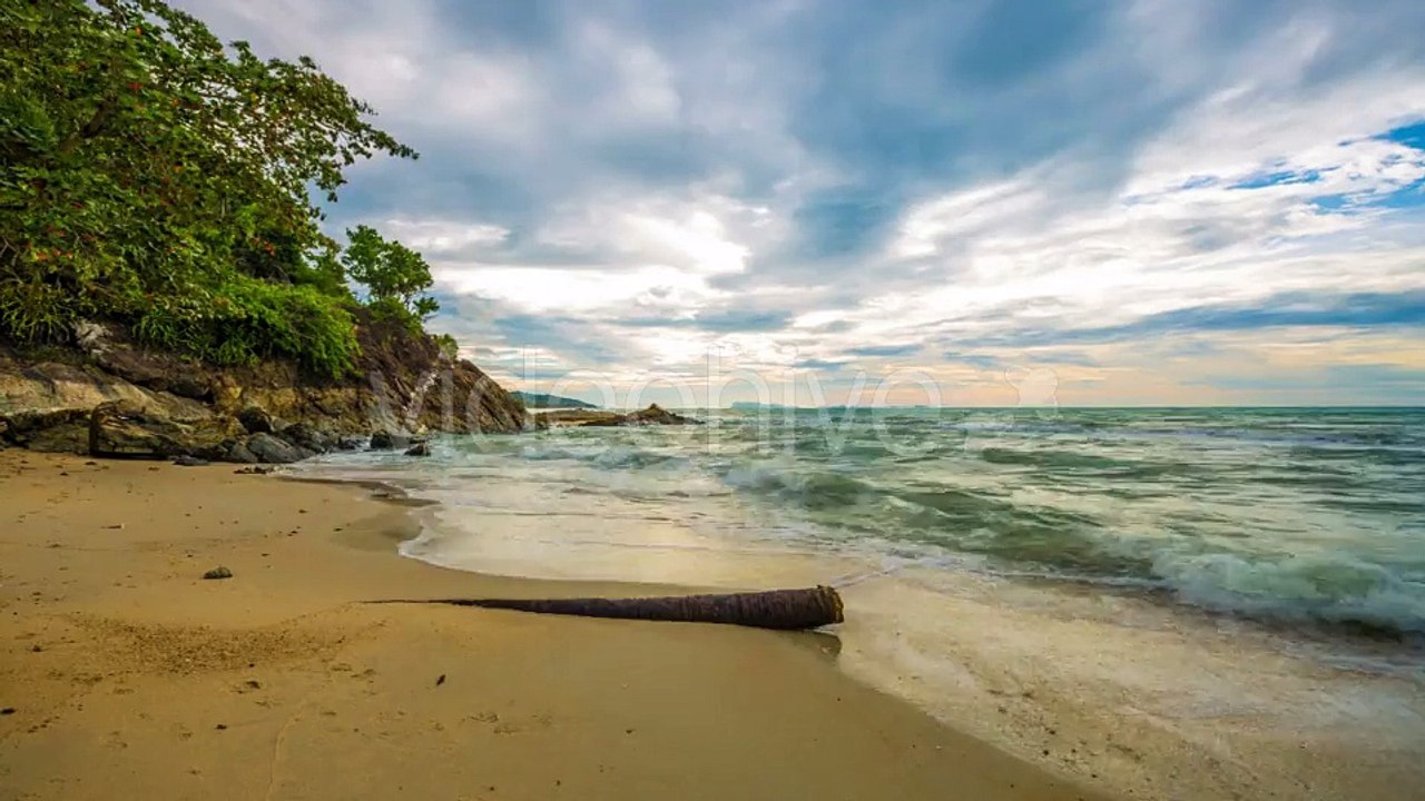 Old Tree On The Beach And Clouds Over The Sea in Samui, Thailand by Timelapse4K