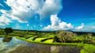 Reflection Of Clouds In The Water In The Rice Field in Bali by Timelapse4K