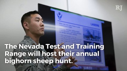 The Nevada Test and Training Range to begin annual bighorn sheep hunt