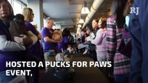 Abandoned Pomeranians  adopted through Golden Knights event