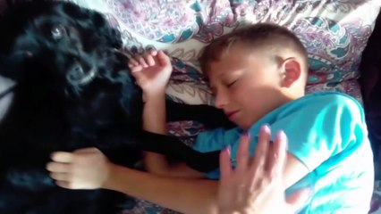 My morning routine Are you sleeping song nursery rhymes for children and kids by learn colors baby
