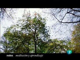 Redes. Meditación y aprendizaje