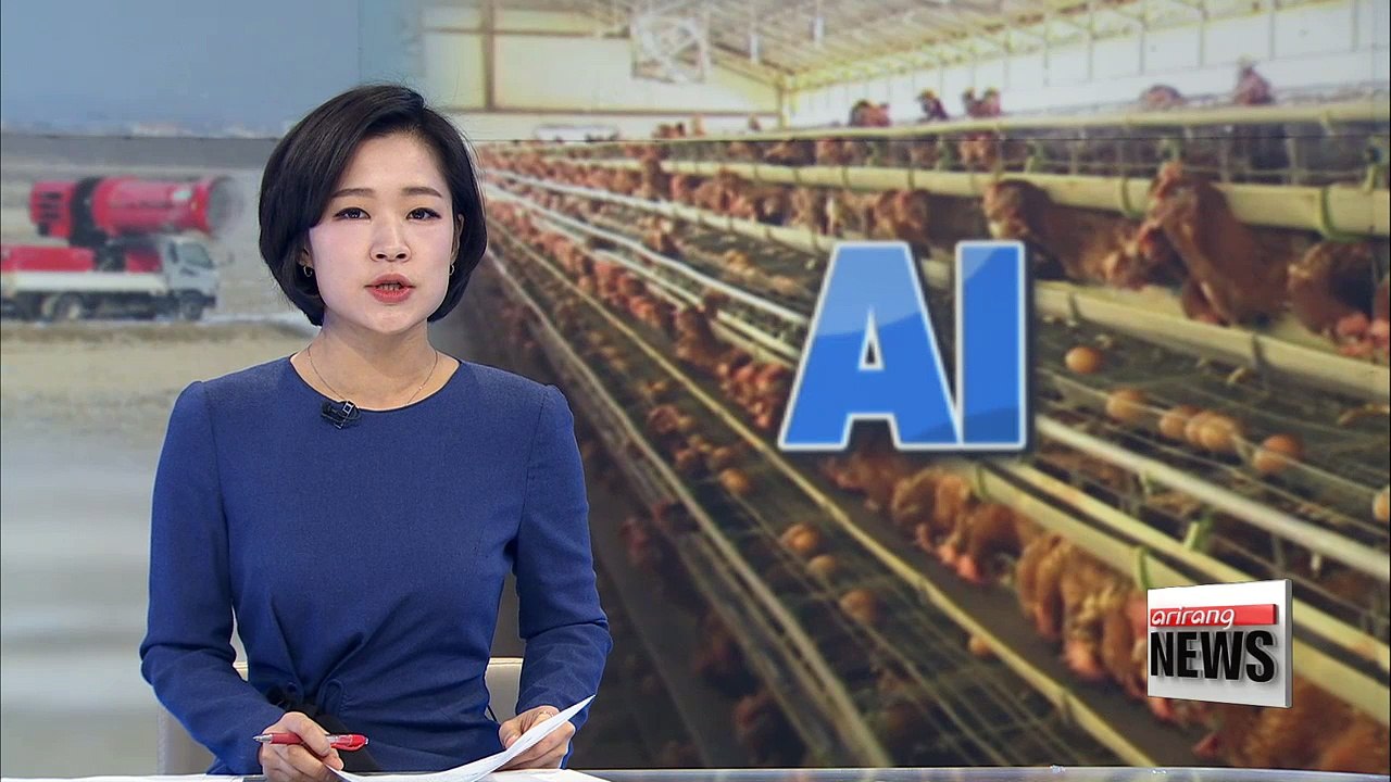 Bird flu triggers alarm ahead of PyeongChang Olympics
