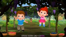 Grape Song _ Learn Fruits for Kids _ Origin