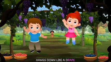 Grape Song _ Learn Fruits for Kids _ Original Educational Fruits Songs & Nursery