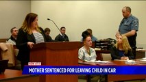 Mom Who Left Child Alone in Car During Overnight Snowstorm Sentenced to Prison