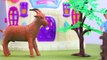 Kids toys videos - Building farm with farm animals and birds - animal so