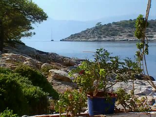 Γλυκόξινο κρασί E08