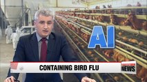 Bird flu triggers alarm ahead of PyeongChang Olympics