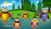 Rabbit and Bugs Finger Family Rhymes _ Animals Finger Family