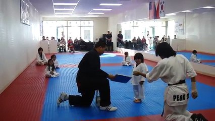 3-Year-Old Tries to Break Board in Taekwondo - Taekwondo Kid