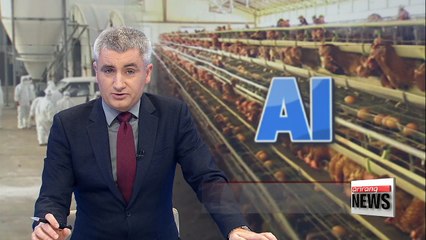 Bird flu triggers alarm ahead of PyeongChang Olympics