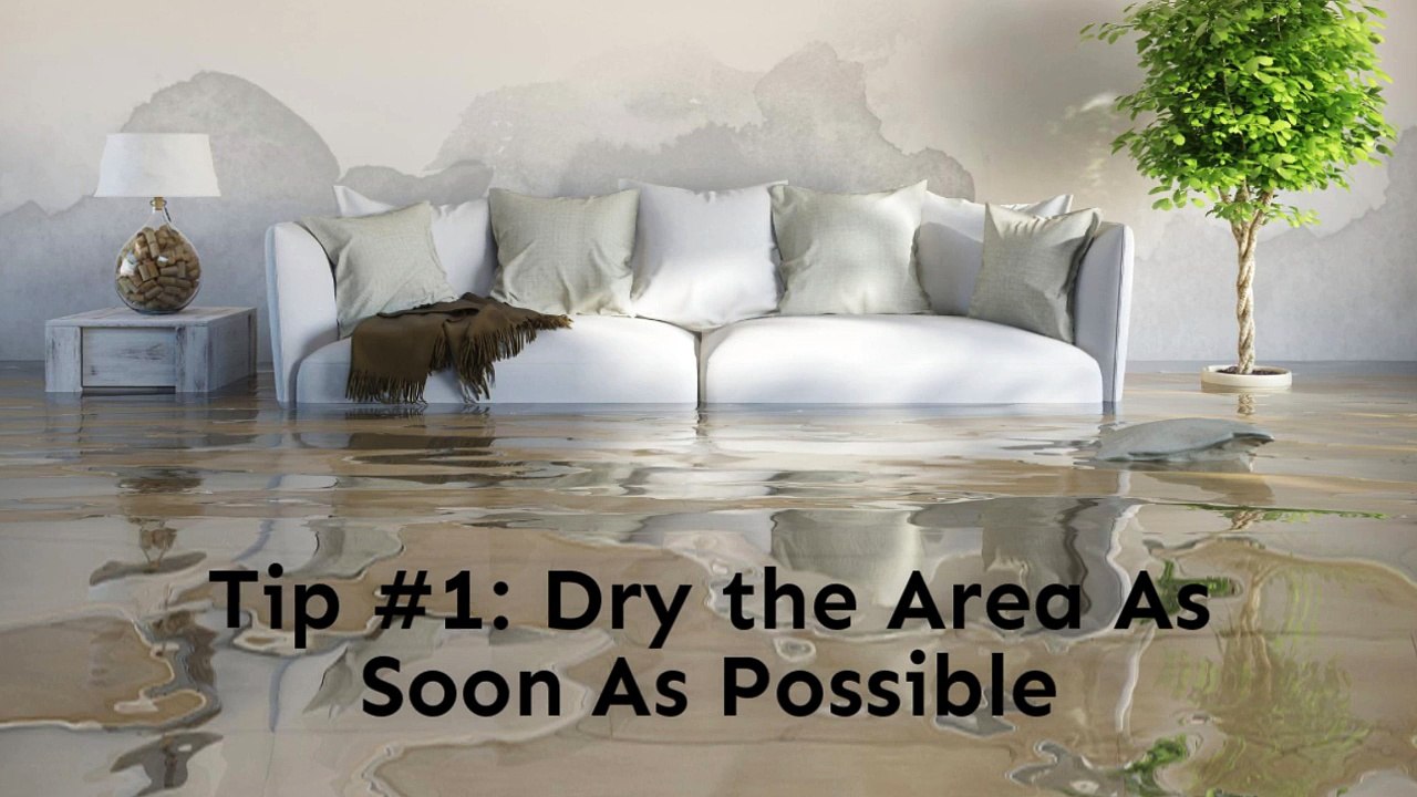 6 Tips on Cleaning up Water Damage