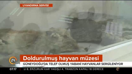 Yabani hayvanlar sergileniyor