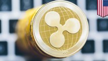 What is the Ripple currency exchange?