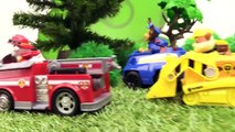 Paw Patrol Toys - Skye's TREE HOUSE  Construction Trucks Stories for Children.To