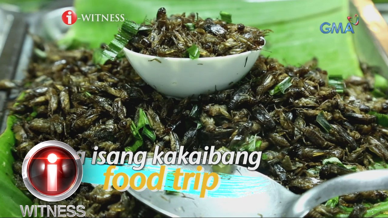 I-Witness: Pesteng Pagkain