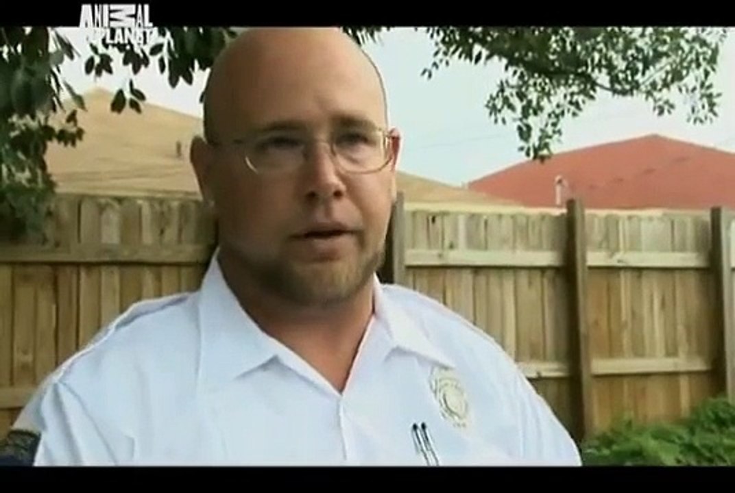 Animal Cops Miami Caught in the Act by ChannelHub