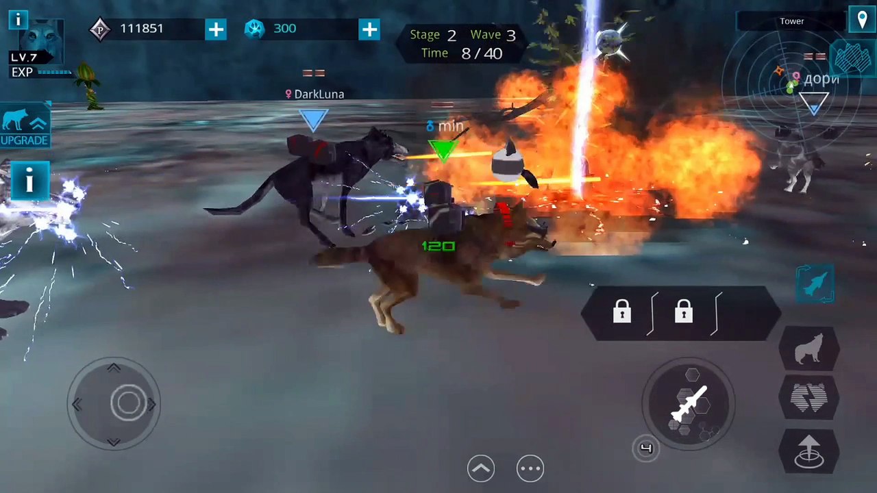 xwolf top battle