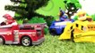 Paw Patrol Toys - Skye's TREE HOUSE  Construction Trucks Stories for Children.Toy