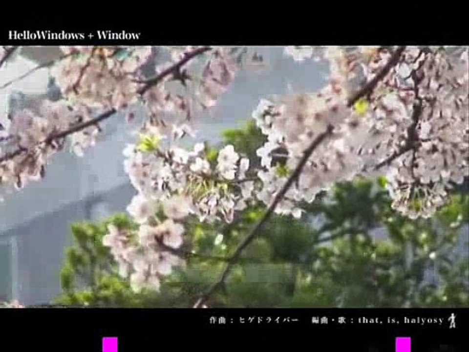 Hello Windows [Fandub]