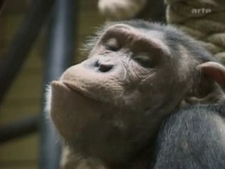 CONSCIENCE ANIMALE 2