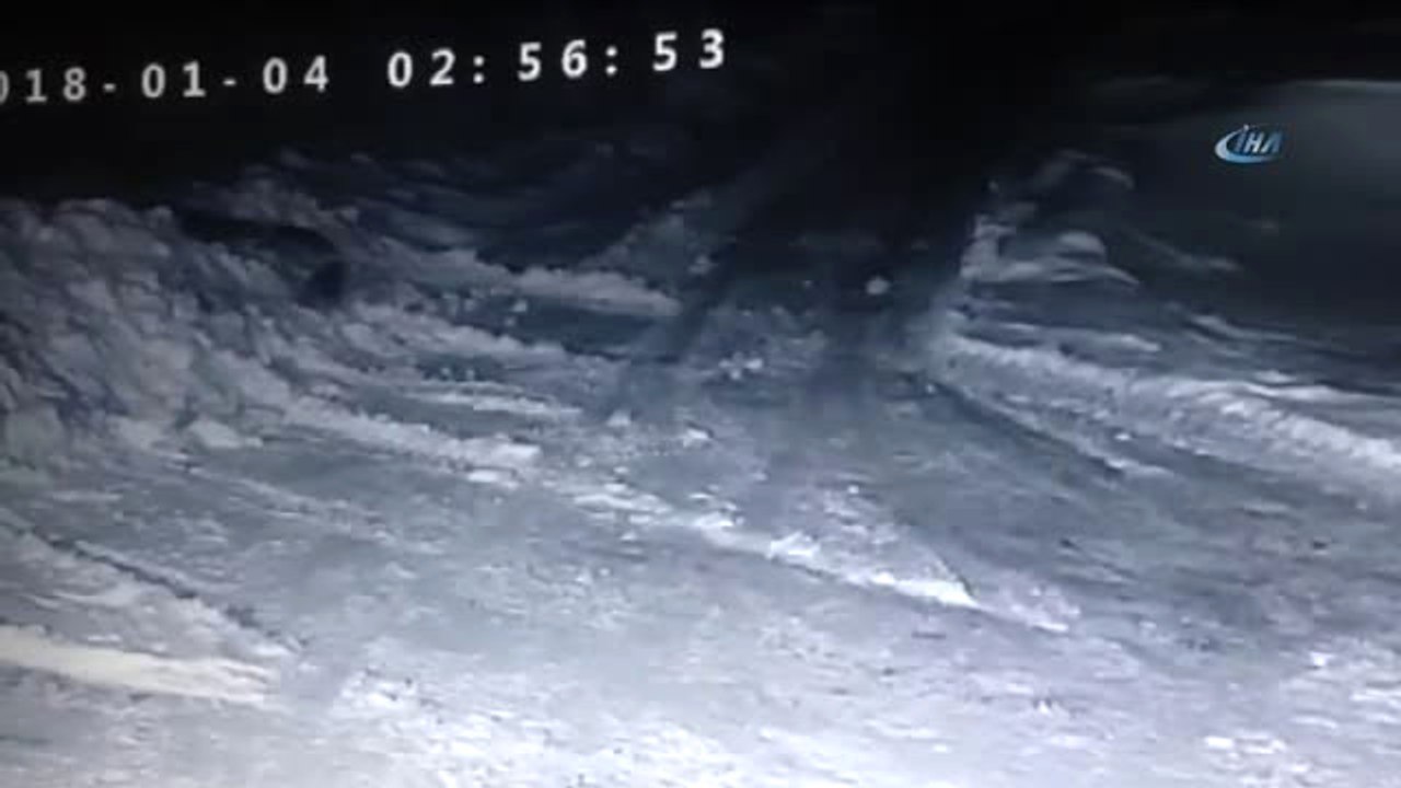 Sürü Halinde Köye Saldıran Aç Kurtlar Kangal Kö...