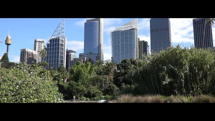 Intro Ardade Entertainment Australia 2018