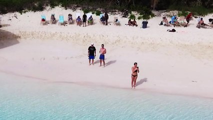 Un enfant attire des requins