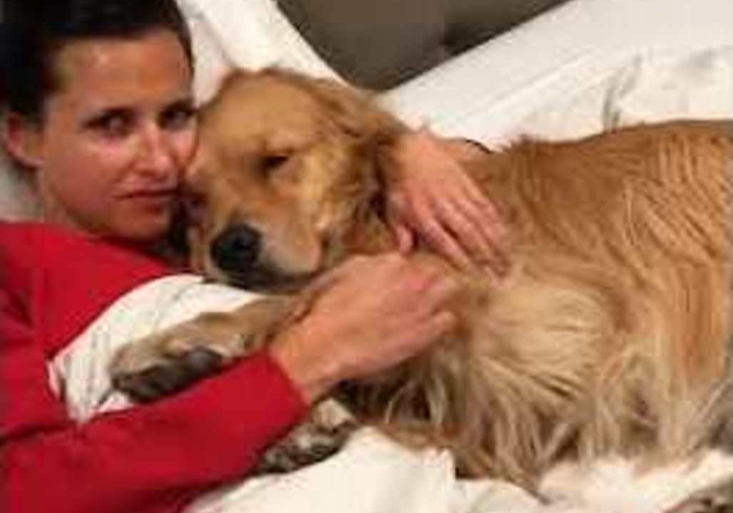 Sleepy Dog Really Enjoys Cuddle Time With Owner