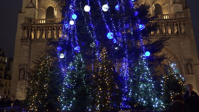 La crèche de Noël 2017 à Notre Dame de Paris