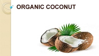 Organic_Coconut_Products_Wholesaler_in_UK