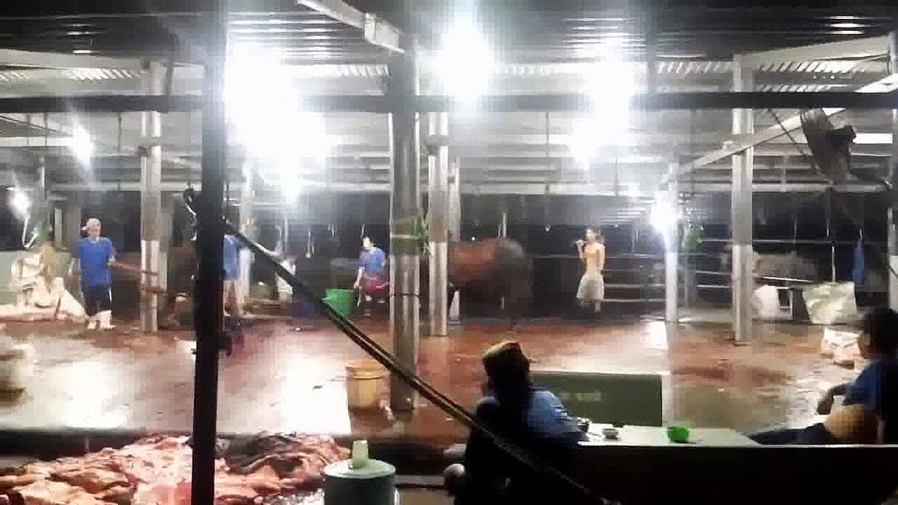 TỘI QUÁ CÁC BẠN Ạ,    HÃY TẬP ĂN CHAY NHÉ A DI ĐÀ PHẬT (4)
